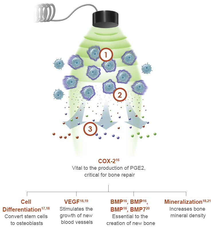 https://kneeclinic.ca/wp-content/uploads/2020/07/MOA_patient_CanENG.png